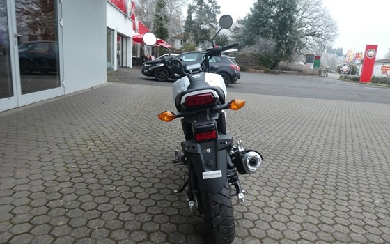 Neufahrzeug Honda MSX125 Grom - Bild 7