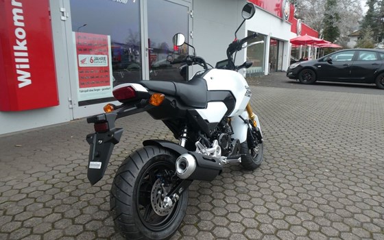 Neufahrzeug Honda MSX125 Grom - Bild 8
