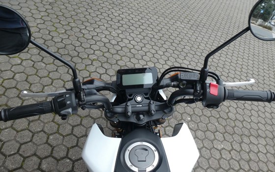 Neufahrzeug Honda MSX125 Grom - Bild 9