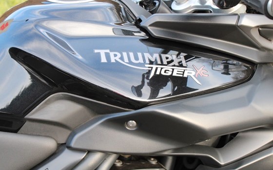 Gebrauchtmotorrad Triumph Tiger 800 XC - Bild 9