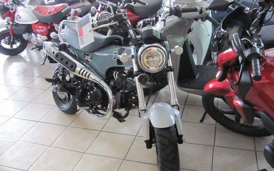 Neufahrzeug Honda Dax - Bild 1