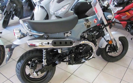 Neufahrzeug Honda Dax - Bild 2