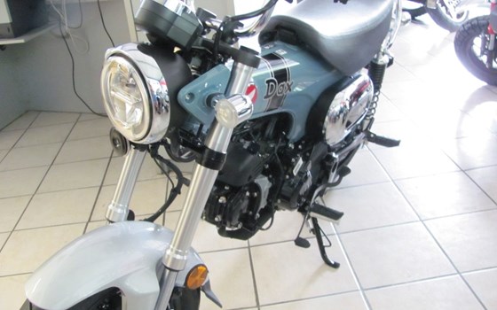 Neufahrzeug Honda Dax 125 - Bild 6