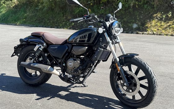 Neufahrzeug QJ Motor SRV 125 - Bild 4