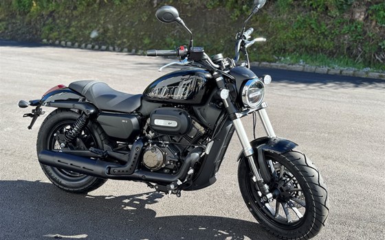 Neufahrzeug QJ Motor SRV12 - Bild 5