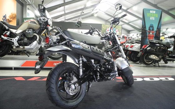 Neufahrzeug Honda Dax 125 - Bild 7