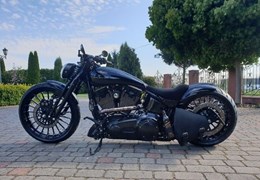 Gebrauchte Harley-Davidson Softail Slim S