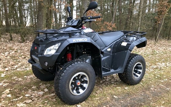 Gebrauchtmotorrad Kymco MXU 300 R - Bild 4