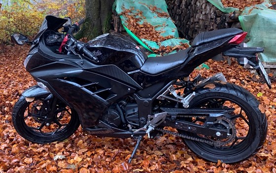 Motorrad Occasion Kawasaki Ninja 300 - Bild 2