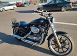 Angebot Harley-Davidson Sportster XL 883 L SuperLow