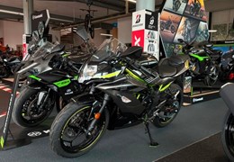 Gebrauchte Kawasaki Ninja 125