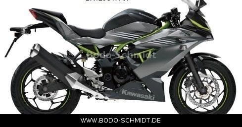 Neufahrzeug Kawasaki Ninja 125 - Bild 1