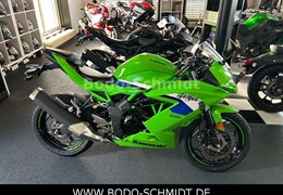 Neumotorrad Kawasaki Ninja 125