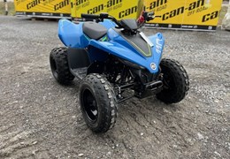 Neumotorrad CFMOTO CForce 110
