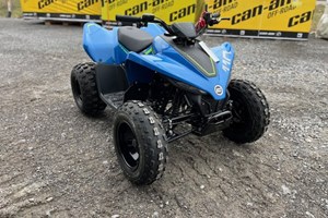 Angebot CFMOTO CForce 110