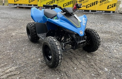 Neumotorrad CFMOTO CForce 110