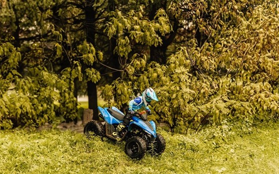 Neufahrzeug CFMOTO CForce 110 - Bild 2