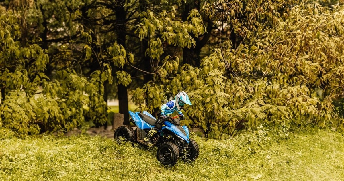 Angebot CFMOTO CForce 110