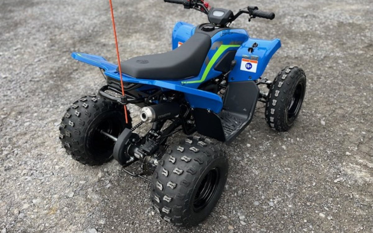 Angebot CFMOTO CForce 110