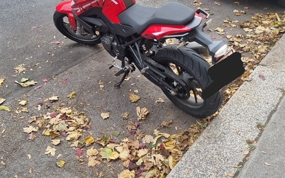 Gebrauchtmotorrad Online Pista 125 ABS - Bild 2