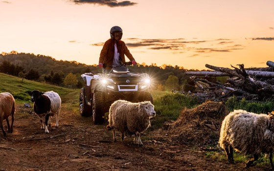 Neufahrzeug Can-Am Outlander - Bild 4