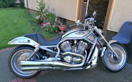 Gebrauchtmotorrad Harley-Davidson V-Rod VRSCA - Bild 1