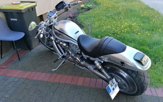 Gebrauchtmotorrad Harley-Davidson V-Rod VRSCA - Bild 2