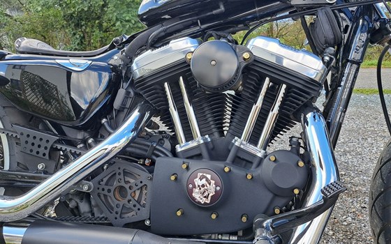 Gebrauchtmotorrad Harley-Davidson Sportster XL 1200 - Bild 2