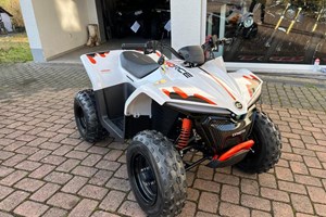 Angebot CFMOTO CFORCE EV110