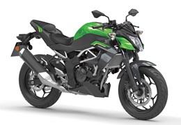 Neumotorrad Kawasaki Z125