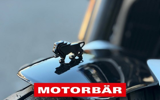 Neufahrzeug Benelli Leoncino Bobber 400 - Bild 5