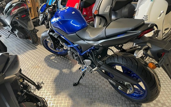 Neufahrzeug Suzuki SV650 - Bild 4