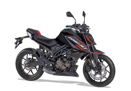 Neumotorrad Rieju NKD 125