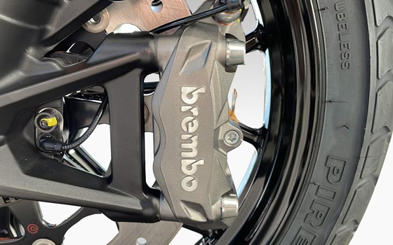 Motorrad Occasion Ducati Scrambler Icon Dark - Bild 11