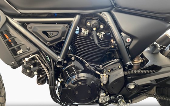 Motorrad Occasion Ducati Scrambler Icon Dark - Bild 9