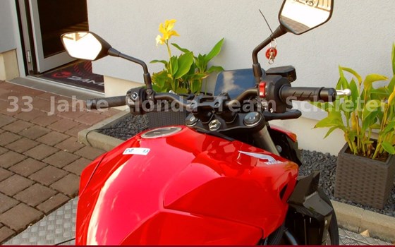 Neufahrzeug Honda CB1000 Hornet - Bild 14