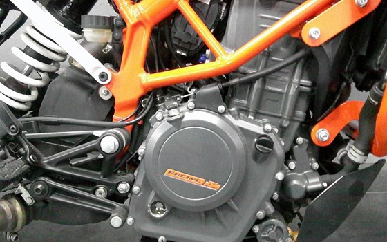Gebrauchtmotorrad KTM 390 Duke - Bild 3