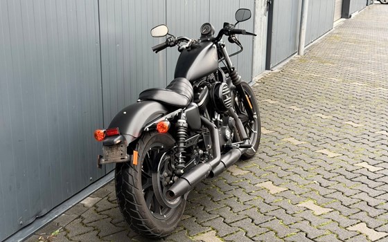 Gebrauchtmotorrad Harley-Davidson Sportster XL 883 - Bild 2