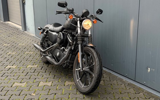 Gebrauchtmotorrad Harley-Davidson Sportster XL 883 - Bild 3