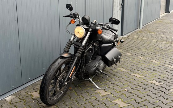 Gebrauchtmotorrad Harley-Davidson Sportster XL 883 - Bild 6