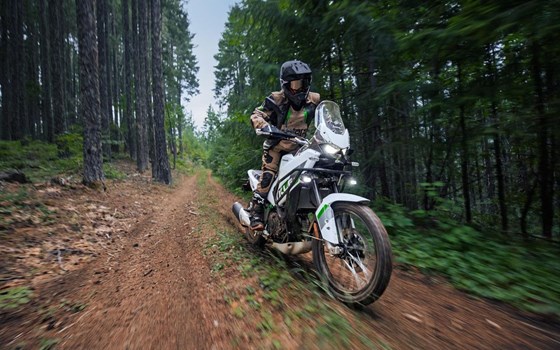 Neufahrzeug Kawasaki KLE500 SE - Bild 13