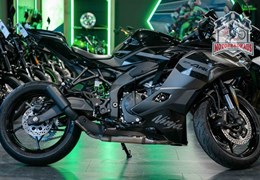 Neumotorrad Kawasaki Ninja ZX-4RR