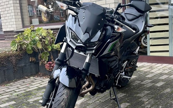 Neufahrzeug Kawasaki Z 500 - Bild 3