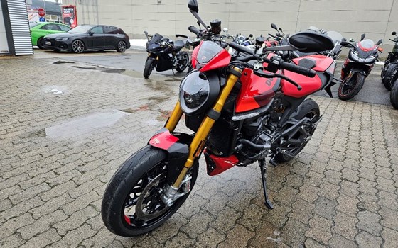 Gebrauchtmotorrad Ducati Monster SP - Bild 3