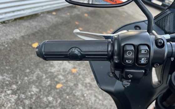 Gebrauchtmotorrad Harley-Davidson Softail Low Rider ST - Bild 12