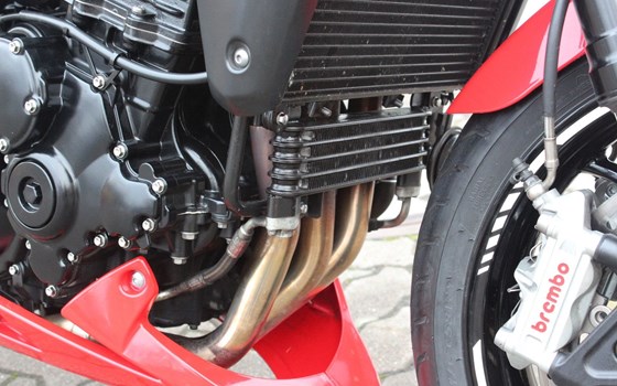 Gebrauchtmotorrad Triumph Speed Triple 1050 - Bild 10