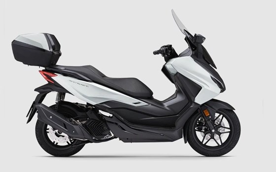 Neufahrzeug Honda Forza 125 - Bild 1