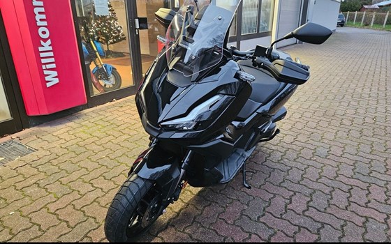Neufahrzeug Honda ADV350 - Bild 2