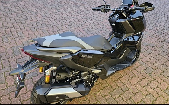 Neufahrzeug Honda ADV350 - Bild 3