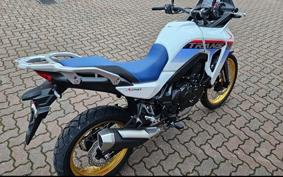 Neufahrzeug Honda XL750 Transalp - Bild 3